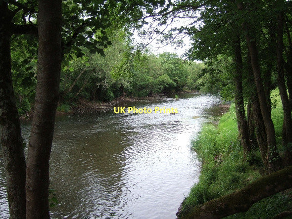 Photo 6"x4" River Exe by Backs Wood Collipriest c2011