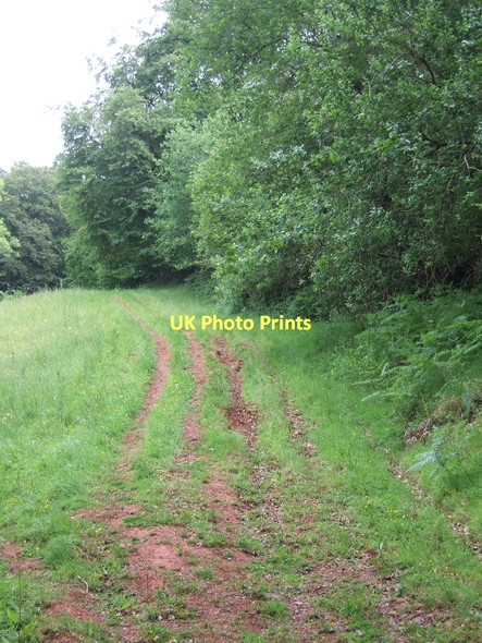 Photo 6"x4" Farm track beside Backs Wood Collipriest c2011