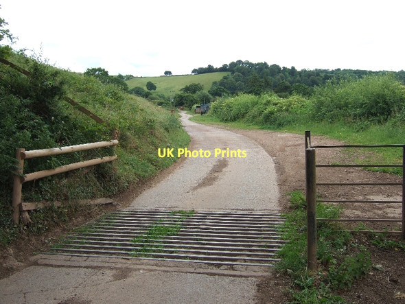 Photo 6"x4" Cattle grid on road to Tiverton Sewage Works Tiverton\/SS9512 c2011