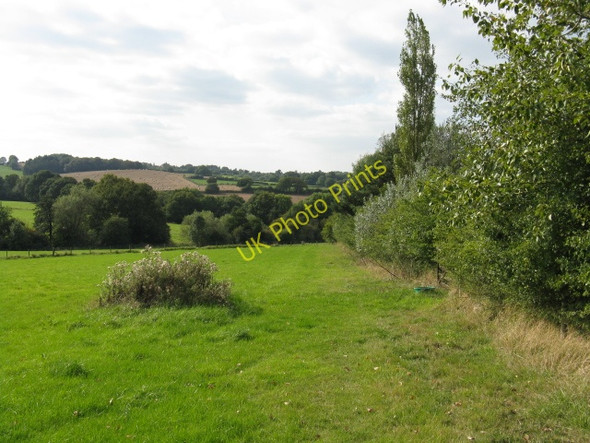 Photo 6"x4" Footpath Alongside The New House Greenway\/SO7470 c2009