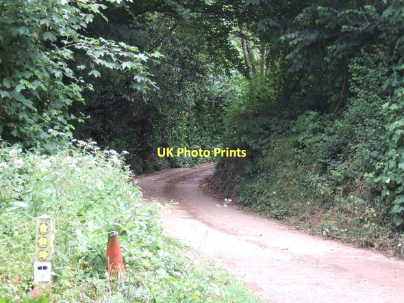Photo 6"x4" Public footpath up Holwell Combe Tiverton\/SS9512 c2011