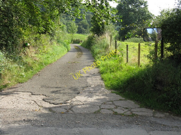 Photo 6"x4" Track To Whoppets Yarhampton c2009
