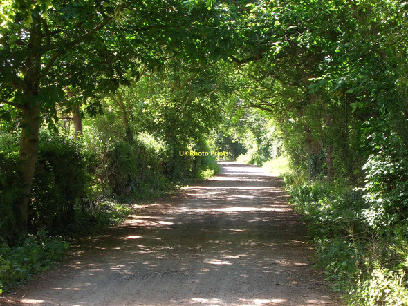 Photo 6"x4" Driveway to Alveston Farm Alveston\/SP2356 c2011