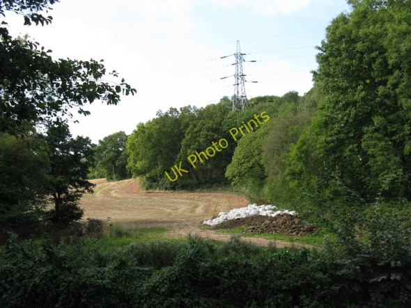 Photo 6"x4" Woods & Electricity Pylon Near Abberley Yarhampton c2009