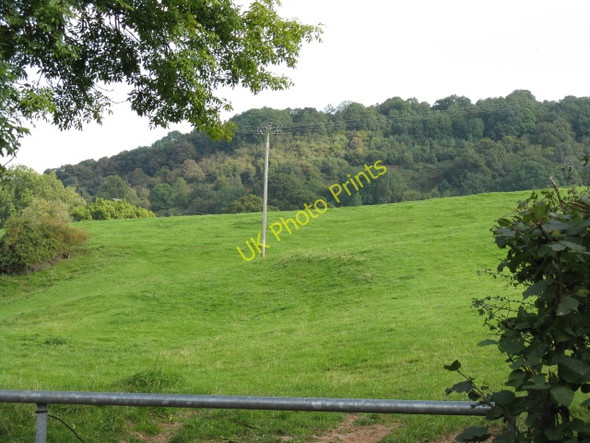 Photo 6"x4" Hillside Off Netherton Road Yarhampton c2009