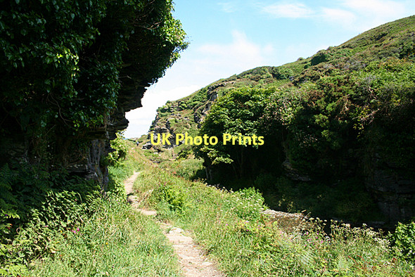 Photo 6"x4" Tintagel: path to the coast Trethevy\/SX0789 c2011