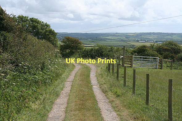Photo 6"x4" Launcells: on Hobbacott Down Stratton\/SS2206 c2011
