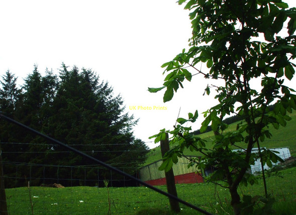 Photo 6"x4" Warren House Llanfihangel-nant-Melan c2011