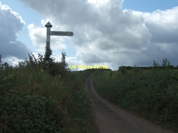 Photo 6"x4" Bidwell Cross and Colaton Lane Thorverton c2011