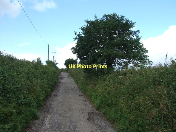 Photo 6"x4" Track from Bidwell to Bidwell Cross Chitterley c2011