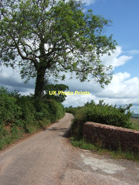 Photo 6"x4" Northdown Road and the end of Pitt Lane Cadbury\/SS9104 c2011