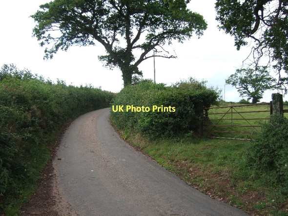 Photo 6"x4" Stone Lane looking uphill (west) Chitterley c2011