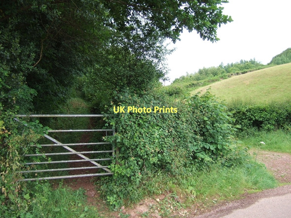 Photo 6"x4" Woodland footpath and farm gate Bickleigh\/SS9407 c2011