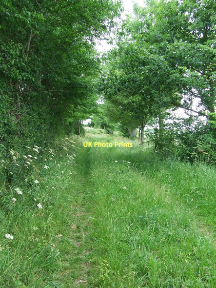 Photo 6"x4" Buntry Lane Barnardiston c2011