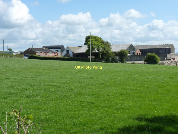 Photo 6"x4" Lleine Farm, Felinwynt Penparc\/SN2148 c2011