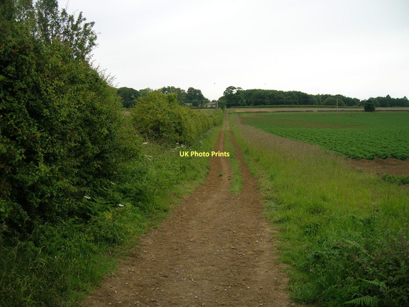 Photo 6"x4" Farm track towards Easthorpe Appleton-le-Street c2011