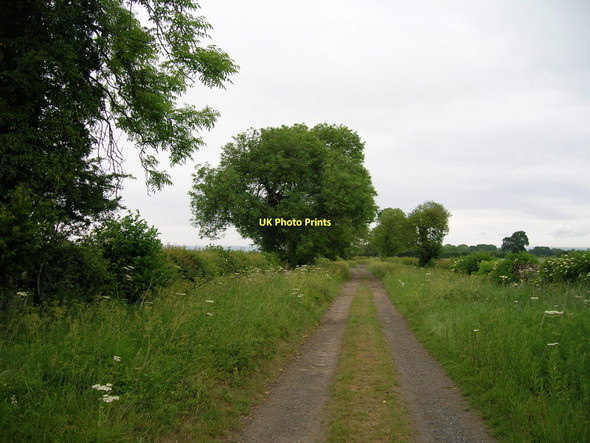 Photo 6"x4" Appleton Lane heading north Appleton-le-Street c2011
