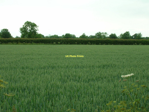 Photo 6"x4" Farmland off Appleton Lane Appleton-le-Street c2011