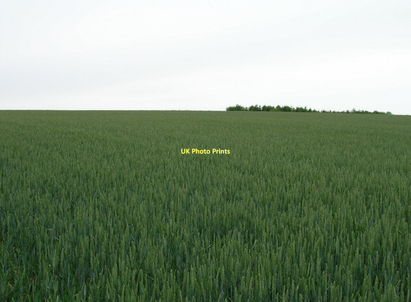 Photo 6"x4" Farmland off Kirk Road Barton-le-Street c2011