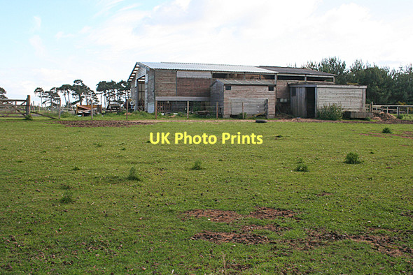 Photo 6"x4" Wooden Shed near Lochloy Kingsteps c2011