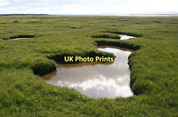 Photo 6"x4" Salt Marsh Pool Kingsteps c2011