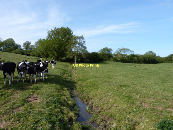 Photo 6"x4" A tributary of the Afon Mwldan Penparc\/SN2148 c2011