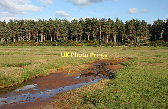 Photo 6"x4" Culbin Salt Marsh Channel Kingsteps c2011