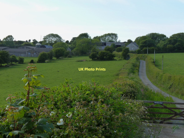 Photo 6"x4" Trefere-uchaf Farm Penparc\/SN2148 c2011