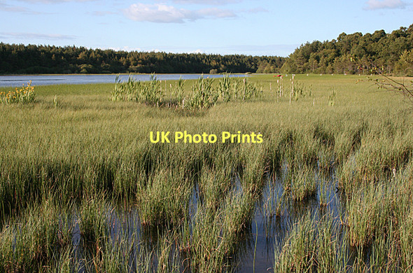 Photo 6"x4" Loch Loy Kingsteps c2011