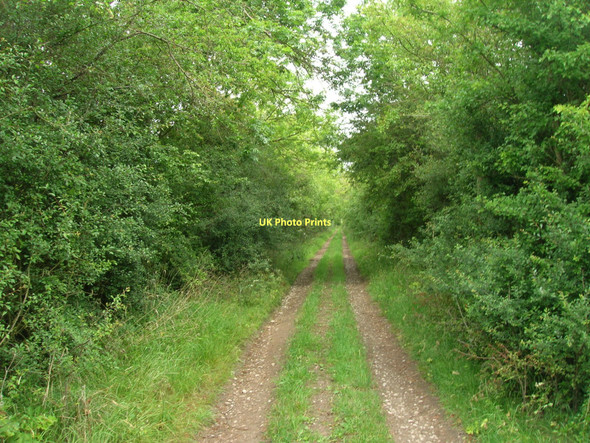 Photo 6"x4" Moor Lane (track) Normanby\/SE7381 c2011