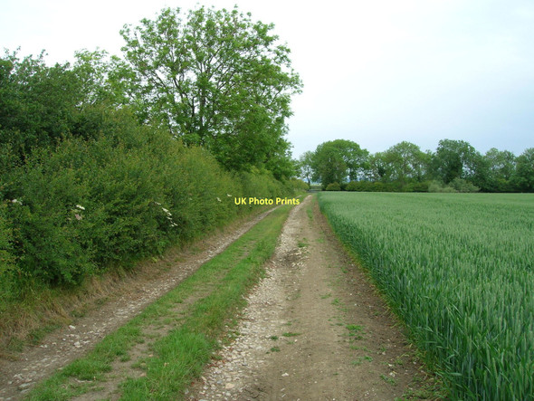 Photo 6"x4" Moor Lane heading north Salton c2011