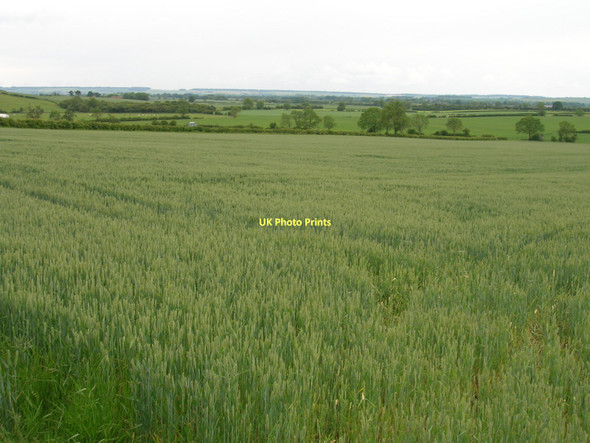 Photo 6"x4" Farmland near Marton Common Farm Marton\/SE7383 c2011