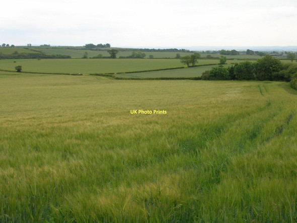 Photo 6"x4" Farmland, Great Edstone Great Edstone c2011