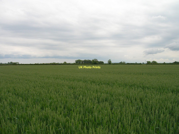 Photo 6"x4" Farmland near Salton Lodge Salton c2011