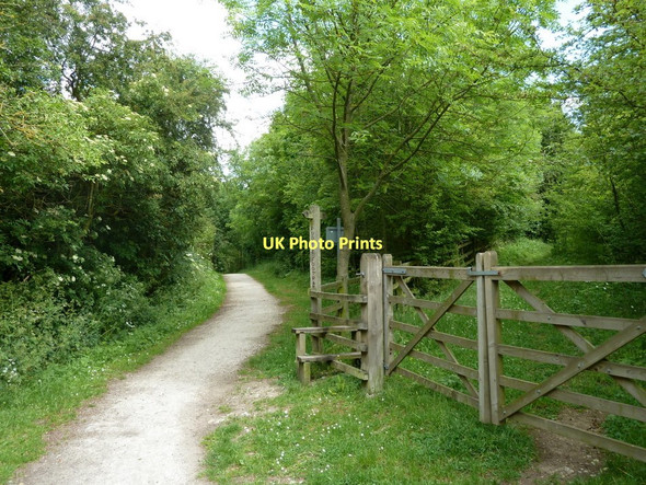Photo 6"x4" Path junction on the Five Pits Trail Hardstoft Common c2011