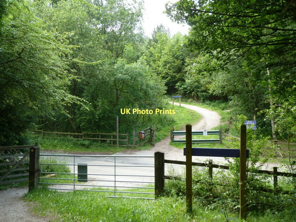 Photo 6"x4" Five Pits Trail crossing Locko Lane Hardstoft Common c2011