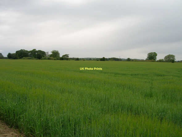 Photo 6"x4" Farmland near Salton Lodge Salton c2011