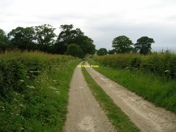 Photo 6"x4" Salton lane heading west East Ness\/SE6978 c2011