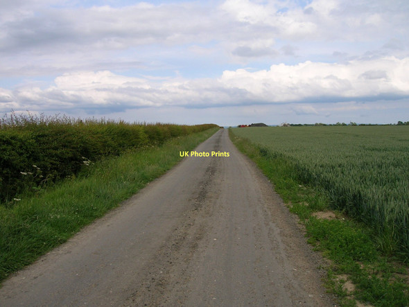 Photo 6"x4" Track to Slingsby Carr House Barton-le-Street c2011