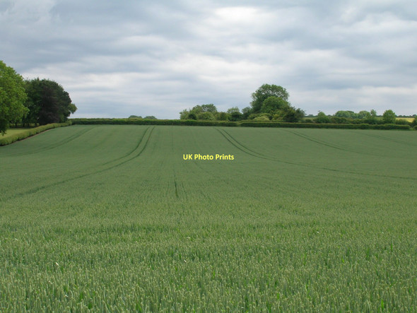 Photo 6"x4" Farmland south off Green Dike Lane Slingsby c2011