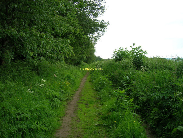 Photo 6"x4" Bridleway beside Slingsby Banks Wood Slingsby c2011