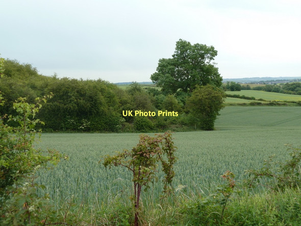 Photo 6"x4" Fields around Hopewell Wood Middle Handley c2011