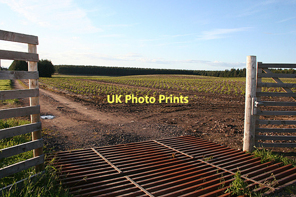 Photo 6"x4" Cattle Grid in Deer Fence Auldearn c2011