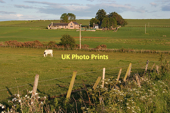 Photo 6"x4" Bogside of Brodie Auldearn c2011