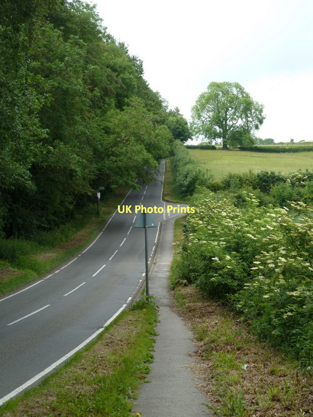 Photo 6"x4" Long Lane past Stubbing Wood West Handley c2011