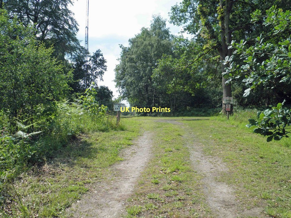 Photo 6"x4" Private no entry Serlby c2011