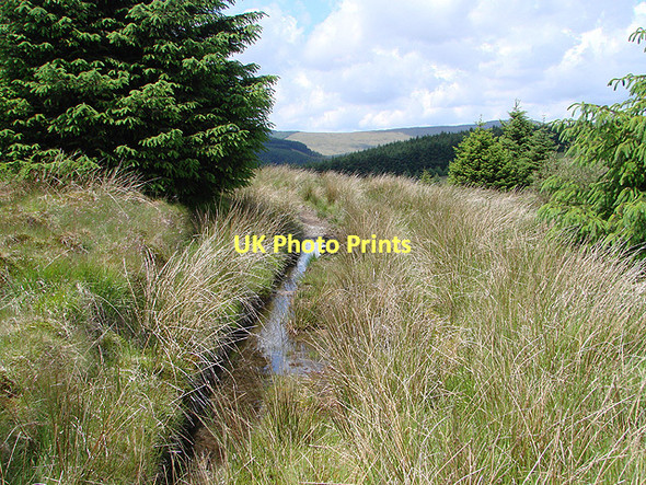 Photo 6"x4" A path of sorts Pont Rhydgaled c2011