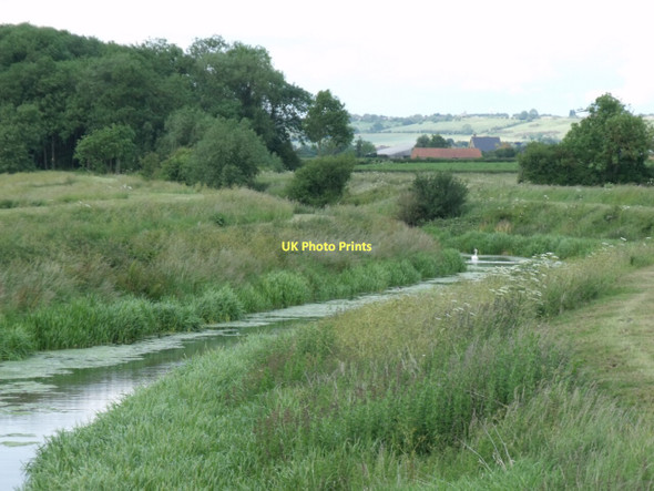 Photo 6"x4" River Brant near Aubourn Aubourn c2011