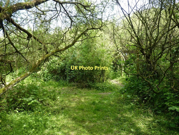 Photo 6"x4" Footpath junction east of Ffrwdenith uchaf Parcllyn c2011