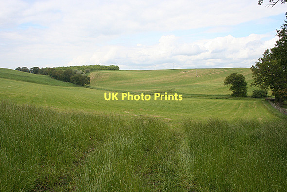 Photo 6"x4" Fields near Midhope Abercorn c2011